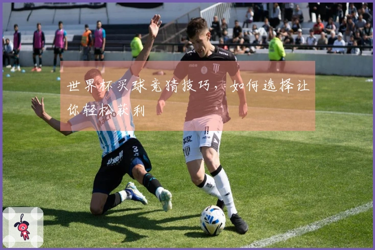 世界杯买球竞猜技巧，如何选择让你轻松获利