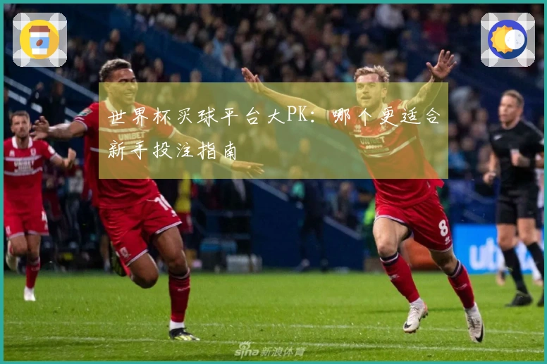 世界杯买球平台大PK：哪个更适合新手投注指南