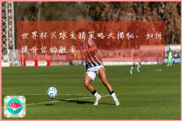 世界杯买球竞猜策略大揭秘，如何提升你的胜率