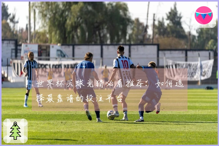 世界杯买球竞猜必看推荐：如何选择最靠谱的投注平台