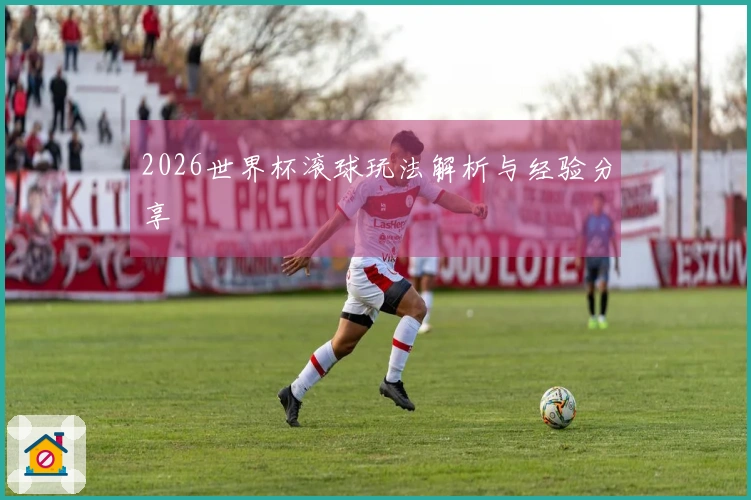 2026世界杯滚球玩法解析与经验分享