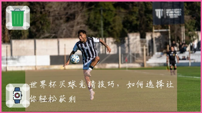 世界杯买球竞猜技巧，如何选择让你轻松获利